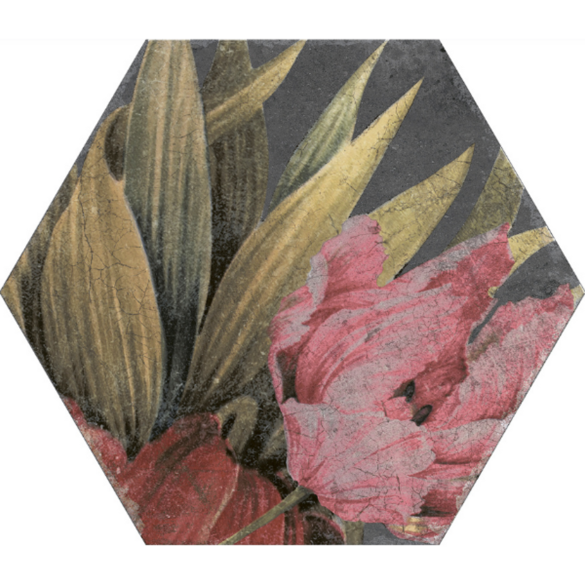 Aruba | 2 Colours | 1 Size