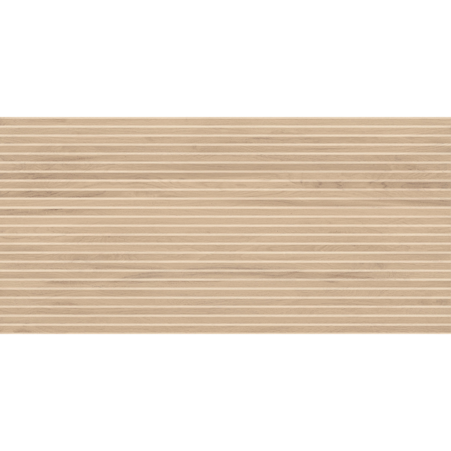 Sagano Light Lines