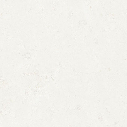 Ember Porcelain