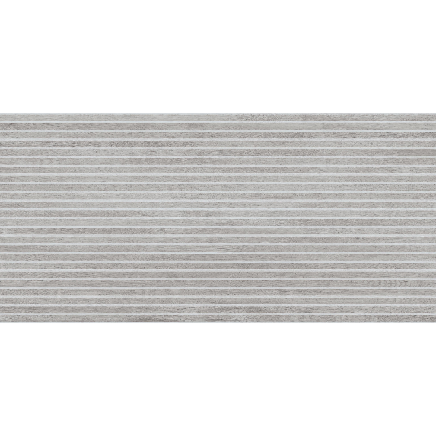 Sagano Light Lines