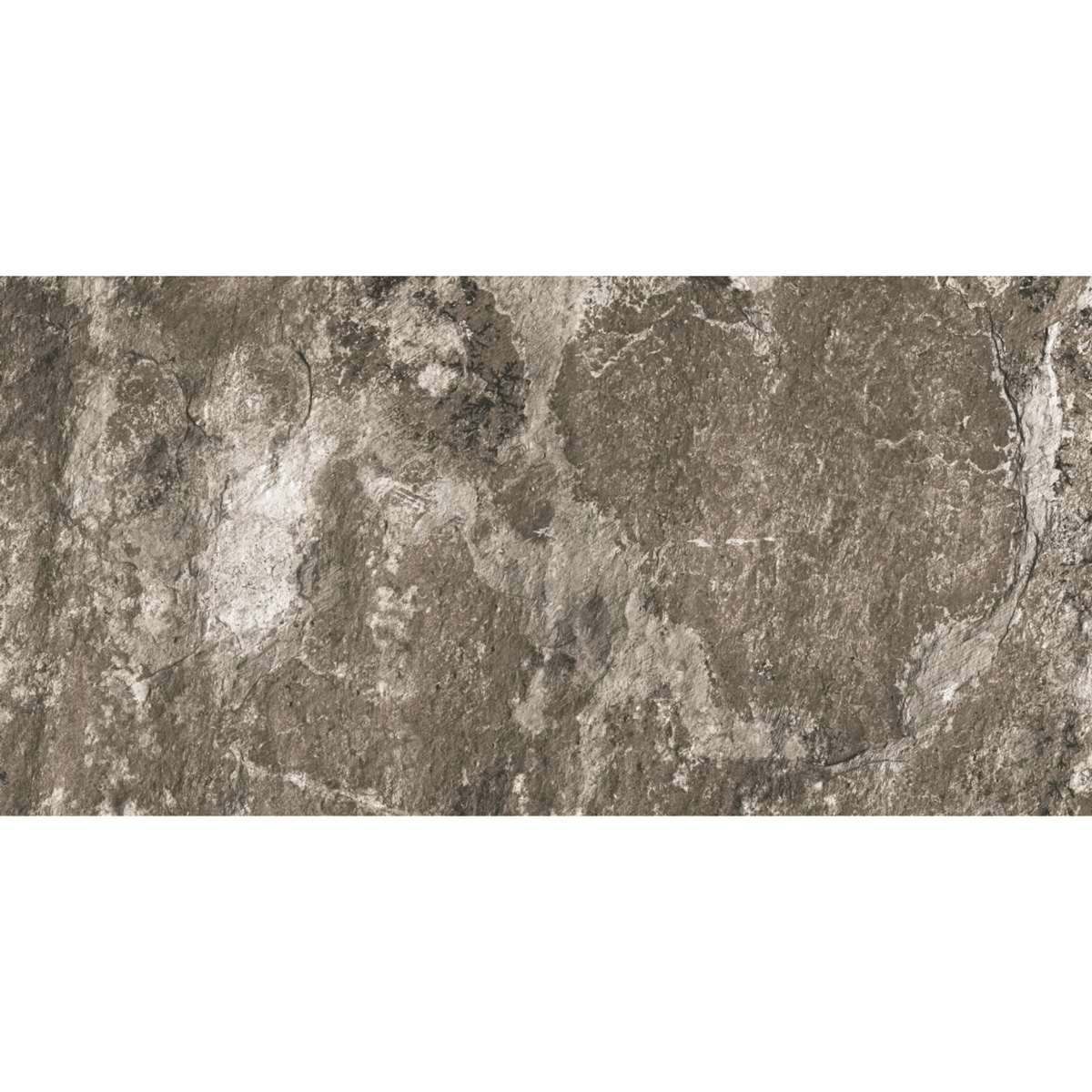 Nerva | 3 Colours | 1 Size