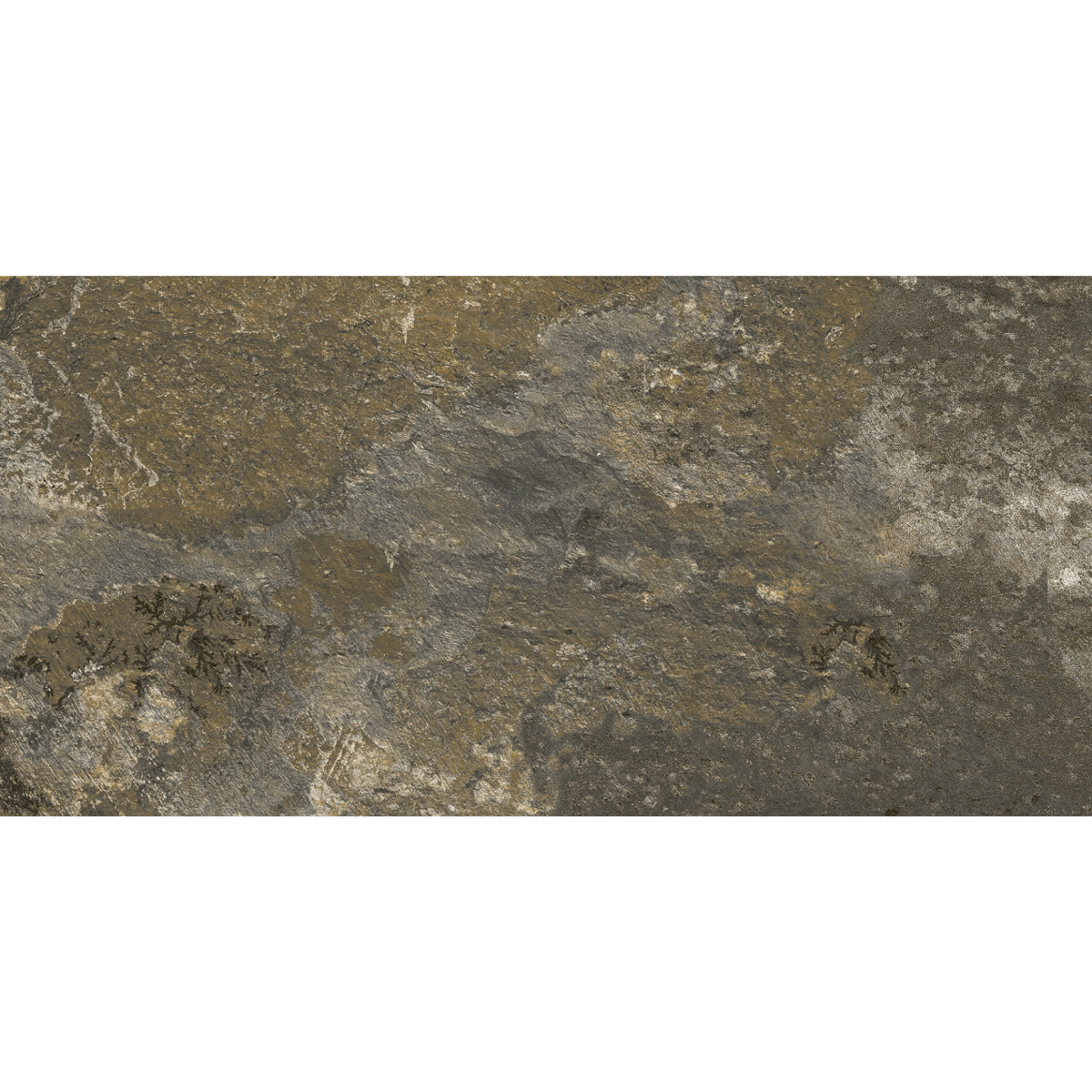 Nerva | 3 Colours | 1 Size