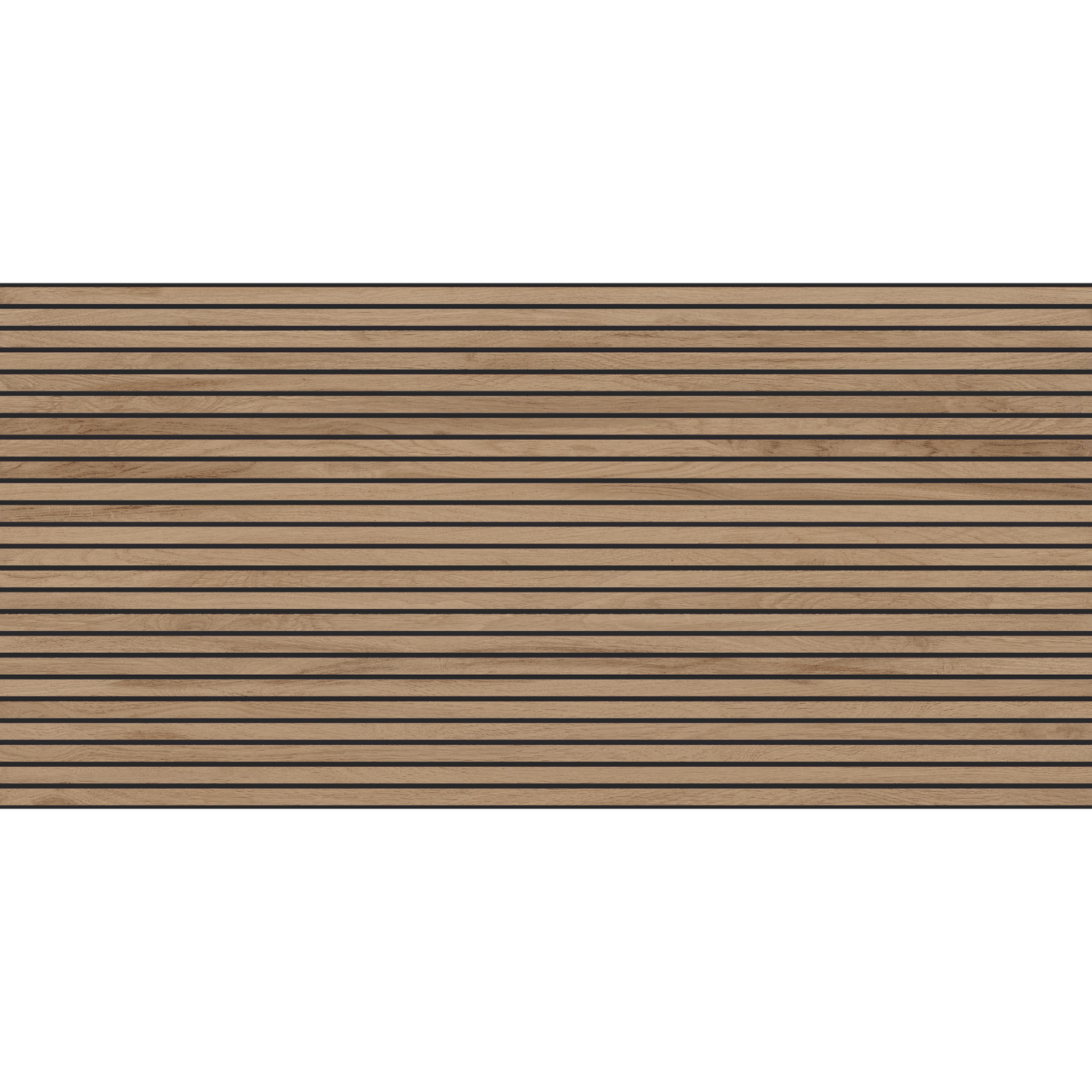 Sagano Dark Lines