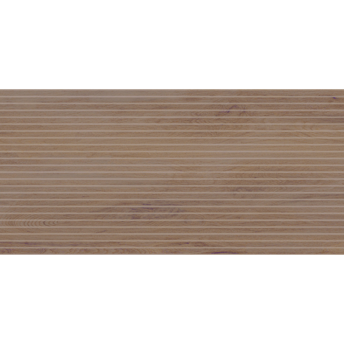 Sagano Light Lines
