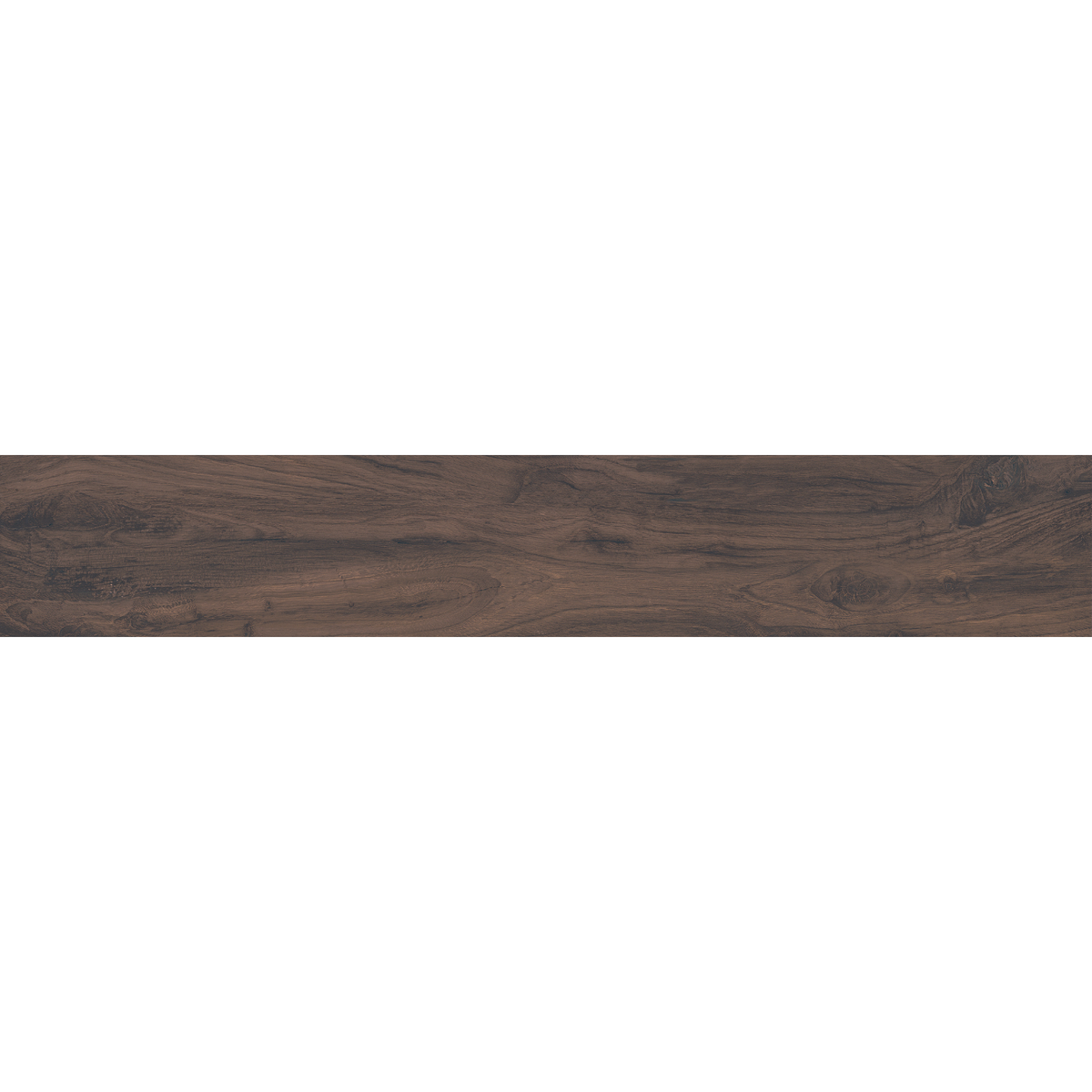Woodland | 6 Colours | 1 Size