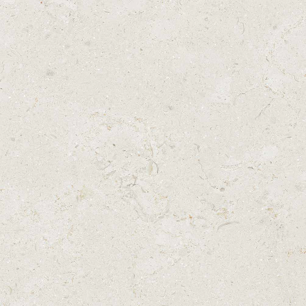 Ember Porcelain